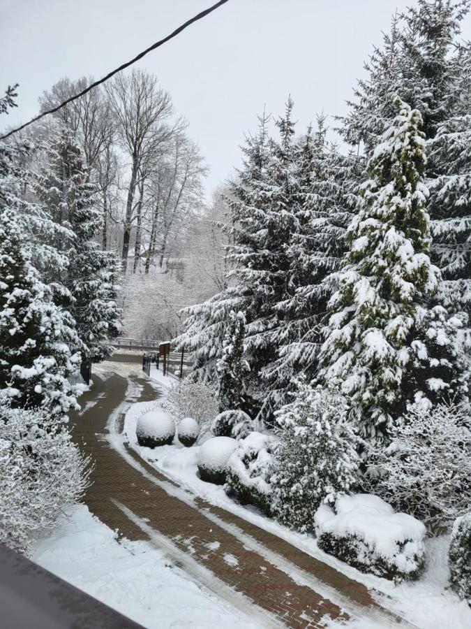 Agroturystyka Nad Strumykiem Lesna  Bagian luar foto